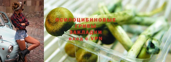 скорость mdpv Богородицк