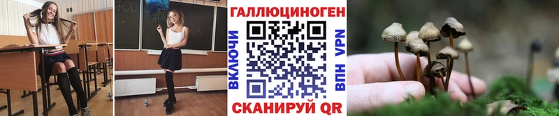 мега зеркало  даркнет какой сайт  Галлюциногенные грибы Psilocybe  Екатеринбург 